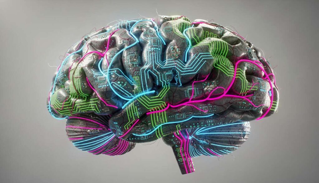 Coding Comes Naturally to the Human Brain